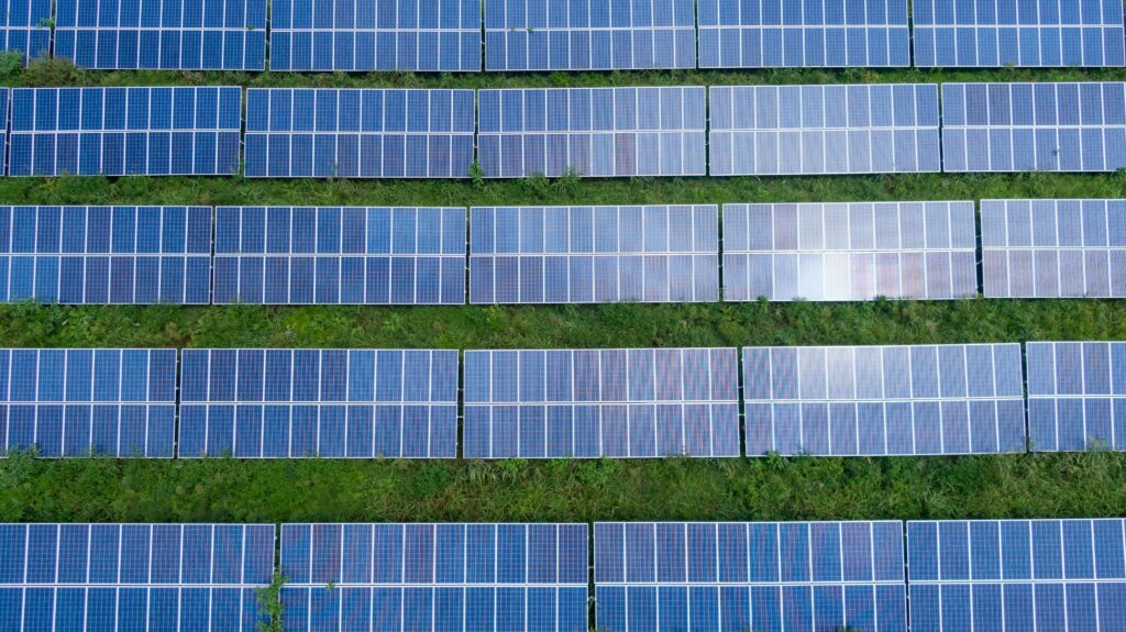 Paneles solares fotovoltaicos en una planta solar