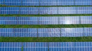 Paneles solares fotovoltaicos en una planta solar