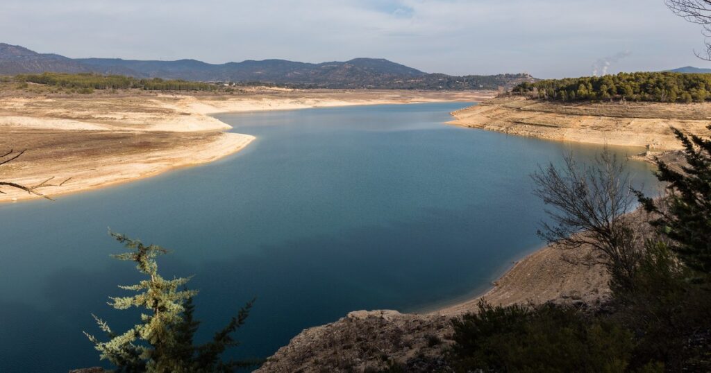 Embalse de Entrepeñas, en Guadalajara, con el nivel del agua bajo y amplias orillas de tierra clara al descubierto, rodeado de pinos y montes bajo un cielo nublado.